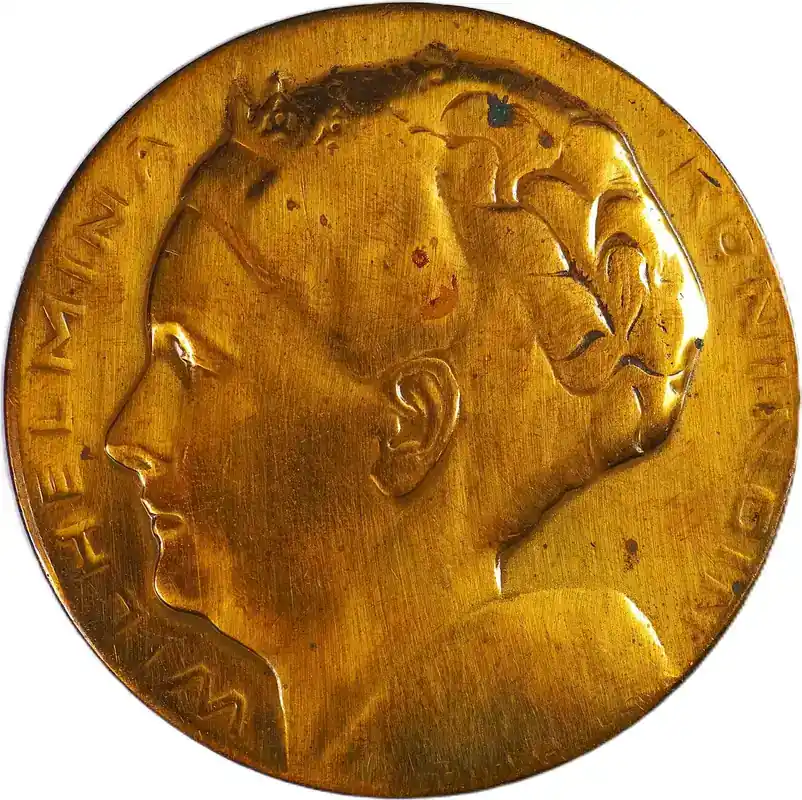 Netherlands Historical medal 1948 Regierungsjubiläum von Königin Wilhelmina – Maastricht / Tjipke Visser VF (Cleaned) - Sofort bestellbar