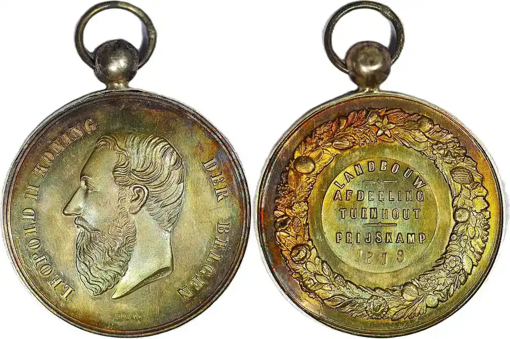 Belgium Historical medal 1879 Leopold II – Landwirtschaftlicher Preis – Abteilung Turnhout EF (Patina) - Neu im Shop