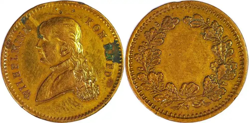 Netherlands Historical medal N.D Jugendporträt von Königin Wilhelmina VF Spots - Versand noch heute