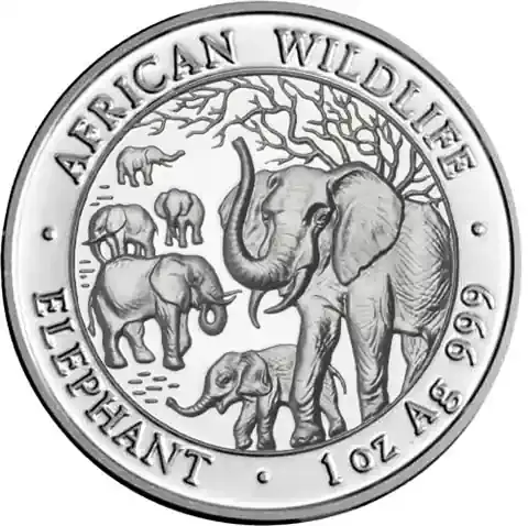 1 Unze Silber 2008 Elefant – Somalia 100 Shilling Silbermünze - Neu hinzugefügt