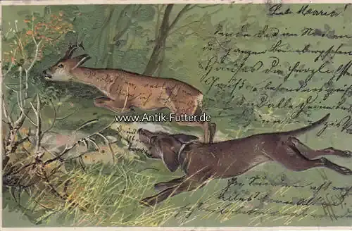 Nur für kurze Zeit - Deutsches Reich 1904 Ansichtskarte/Postkarte/Künstlerkarte/Prägekarte/signiert Heyer/Hund jagd Reh 3