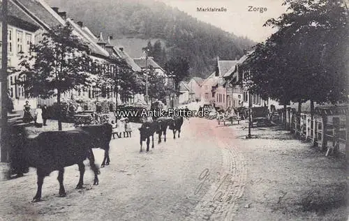 Walkenried/Zorge 1914 Ansichtskarte / Postkarte / Zorge / Marktstraße 2-3 | Extra sparen