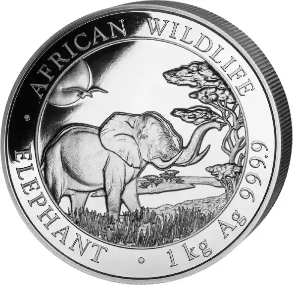1 Kilogramm Silbermünze Somalia Elefant 2019 | Kundenfavorit
