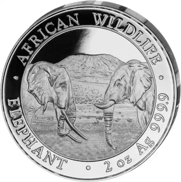 2 Unzen Silbermünze Somalia Elefant 2020 | Jetzt sparen