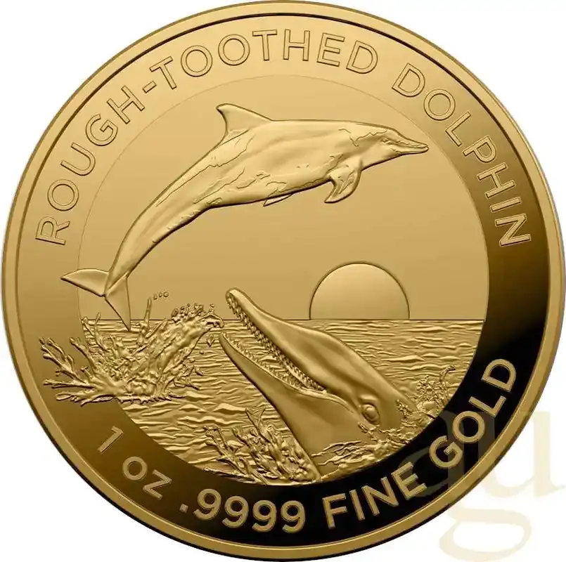 1 Unze Goldmünze Australien Rough-Toothed Delfin 2023 - Bewährte Qualität