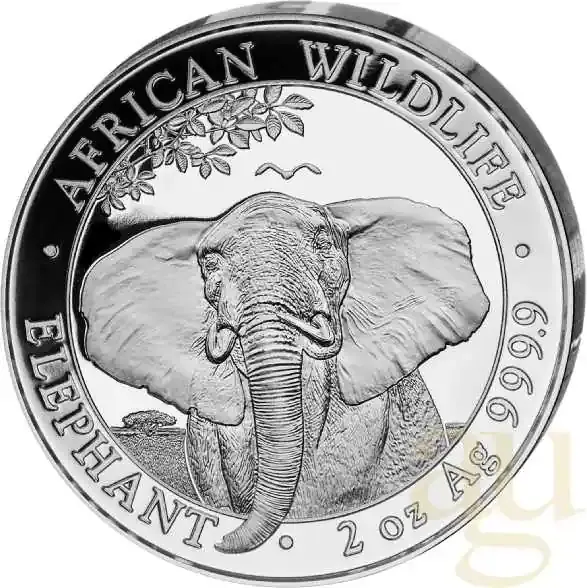 2 Unzen Silbermünze Somalia Elefant 2021 | Wochenendangebot
