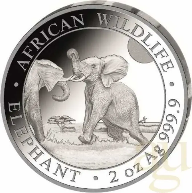 Sehr gut bewertet - 2 Unzen Silbermünze Somalia Elefant 2024