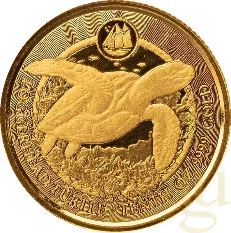Premium-Qualität - 1/10 Unze Goldmünze Cayman Islands Schildkröte 2023