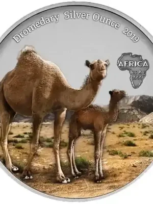 1 Unze Silber 2019 Dromedar – Afrika Antique Finish Silver Ounce in Farbe - Heute kaufen