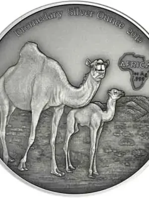 1 Unze Silber 2019 Dromedar – Afrika Antique Finish Silver Ounce | Wochenendangebot