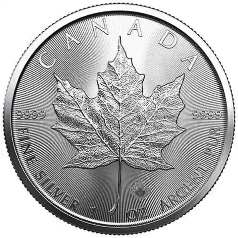 Nur noch wenige | 1 Unze Silber 2021 Maple Leaf Silbermünze
