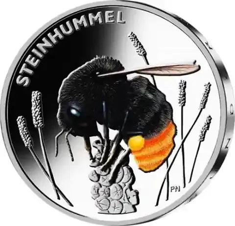 Top-Angebot | Deutschland 5 Euro 2024 Steinhummel – Wunderwelt der Insekten