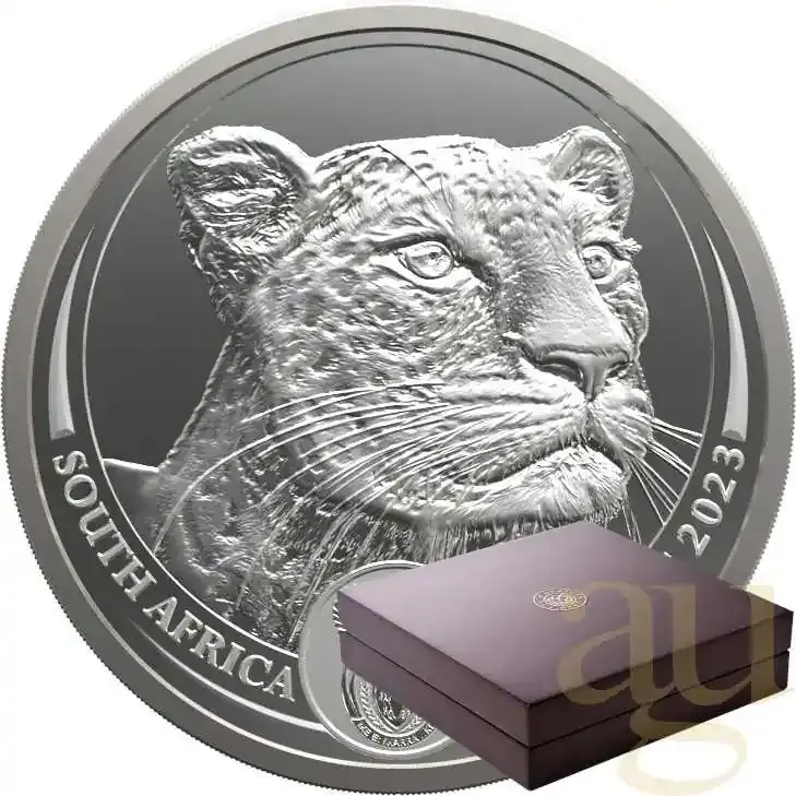 5 Unzen Silbermünze Südafrika Big Five Leopard 2023 proof | Bestseller