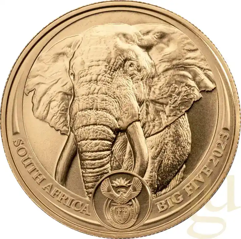 1 Unze Goldmünze Südafrika Big Five Elefant 2023 | Nur diese Woche