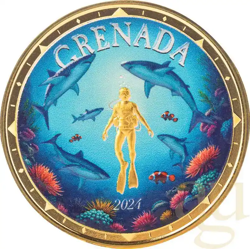1 Unze Goldmünze EC8 Grenada – Shark Diver 2024 – coloriert | Hammerpreis