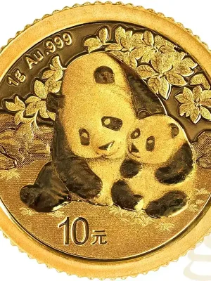 1 Gramm Goldmünze China Panda 2024 | Jetzt sichern