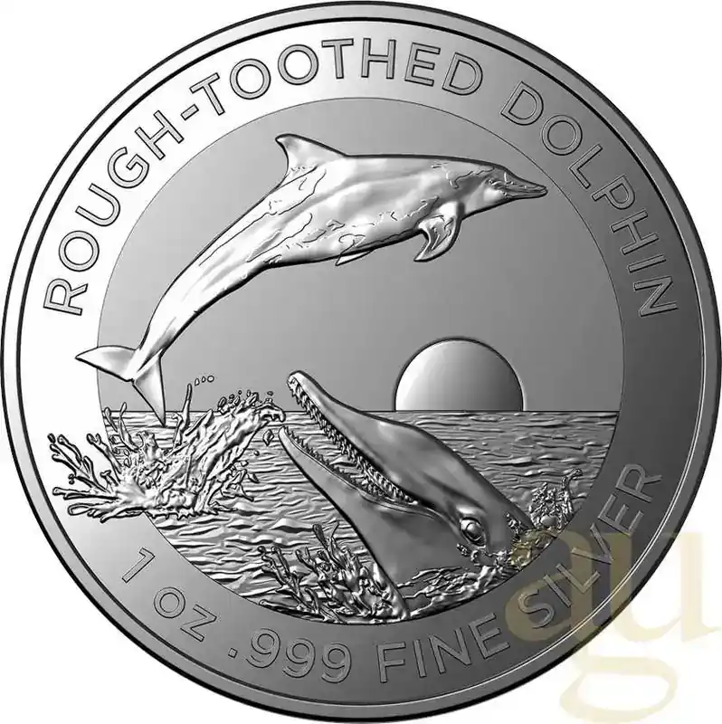 1 Unze Silbermünze Australien Rough-Toothed Delfin 2023 | Sofort bestellbar