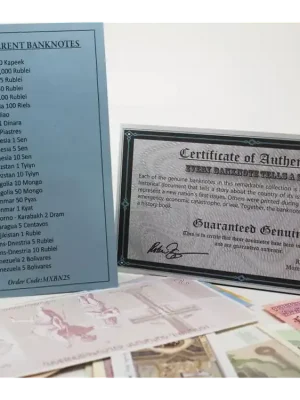 25er-Satz verschiedene Banknoten - Brandneu