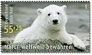 Bund, Michel Nr. 2656 postfrisch – Eisbär Knut im Berliner Zoo - Vorteilspreis