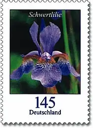 Sehr beliebt | Bund, Michel Nr. 2507 postfrisch – Freimarken Blumen 145 cent Schwertlilie