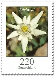 Jetzt erhältlich | Bund, Michel Nr. 2530 postfrisch – Freimarken Blumen 220 cent Edelweiß