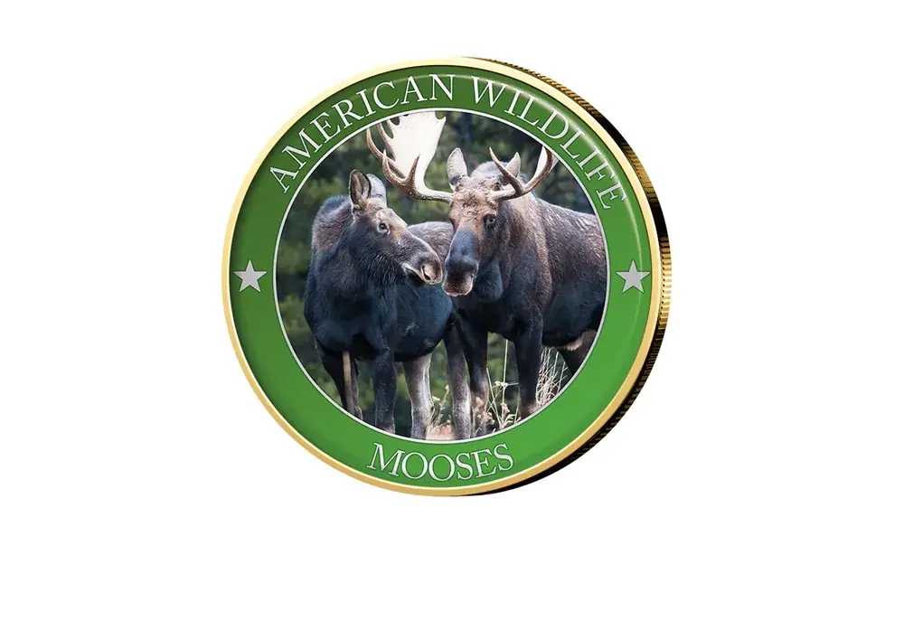 Bestseller | 1/2 Dollar USA Moose Serie American Wildlife mit Farbmotiv
