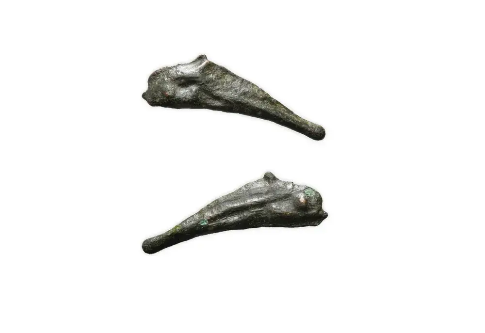 Antikes Delphingeld 5.-4.Jh.v.Chr. Olbia AE Delpin | Extra sparen