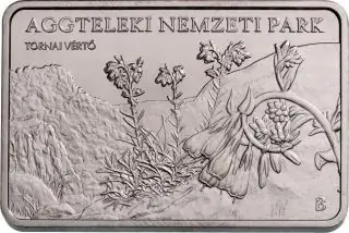Aktion - Ungarn 2025 3000 Forint Aggtelek National Park – rechteckig Stgl.
