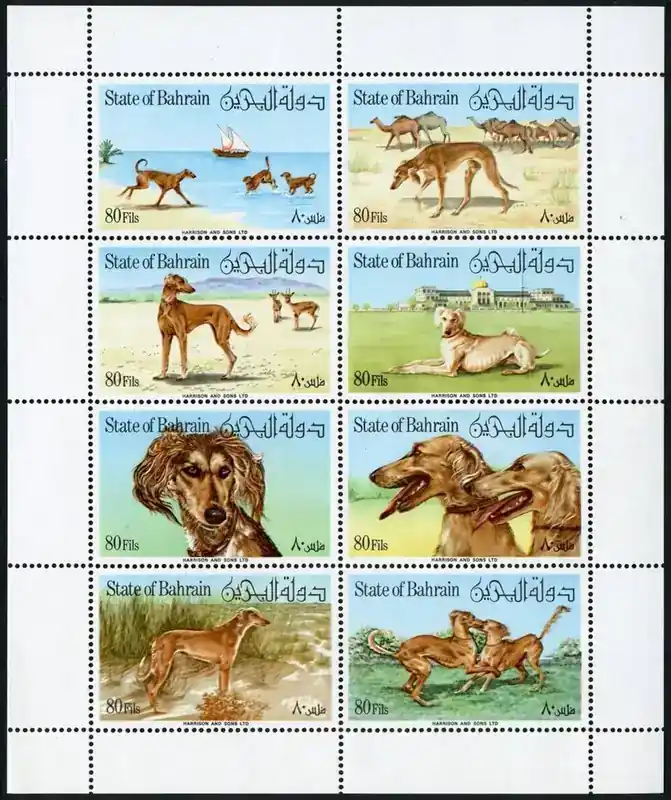 Briefmarken 266-273 n. Chr. Bahrain 1977 Persische Windhunde Hunde Saluki Dogs 266-273 Kleinbogen MNH | Jetzt sichern